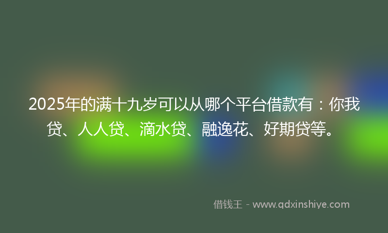 2025年的满十九岁可以从哪个平台借款有：你我贷、人人贷、滴水贷、融逸花、好期贷等。