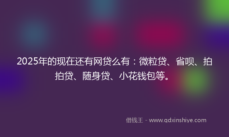 2025年的现在还有网贷么有：微粒贷、省呗、拍拍贷、随身贷、小花钱包等。