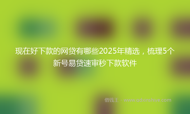 现在好下款的网贷有哪些2025年精选，梳理5个新号易贷速审秒下款软件