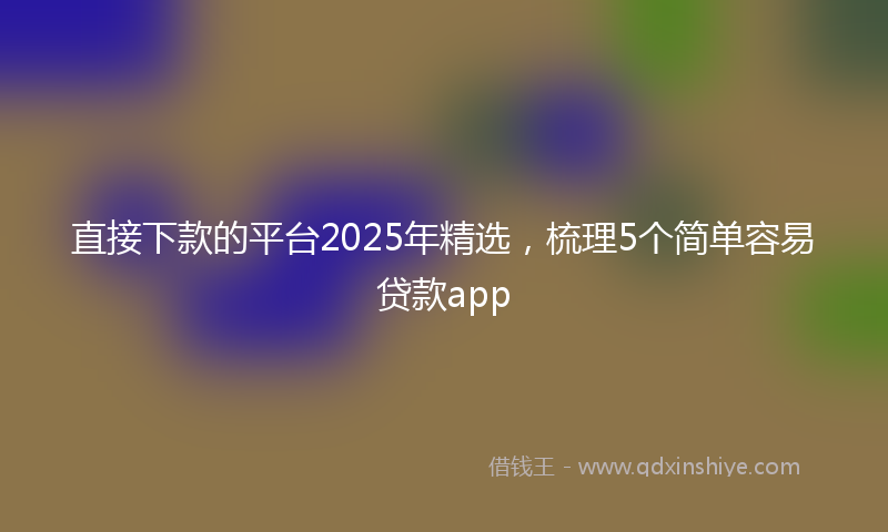 直接下款的平台2025年精选，梳理5个简单容易贷款app