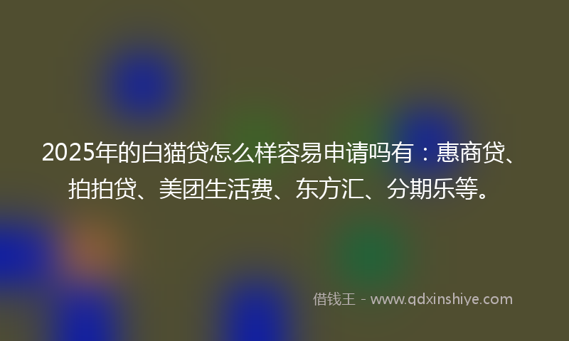 2025年的白猫贷怎么样容易申请吗有：惠商贷、拍拍贷、美团生活费、东方汇、分期乐等。