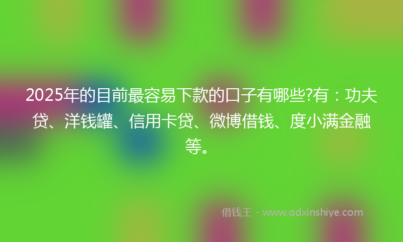 2025年的目前最容易下款的口子有哪些?有：功夫贷、洋钱罐、信用卡贷、微博借钱、度小满金融等。