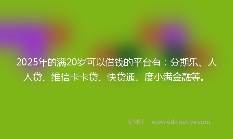 2025年的满20岁可以借钱的平台有：分期乐、人人贷、维信卡卡贷、快贷通、度小满金融等。