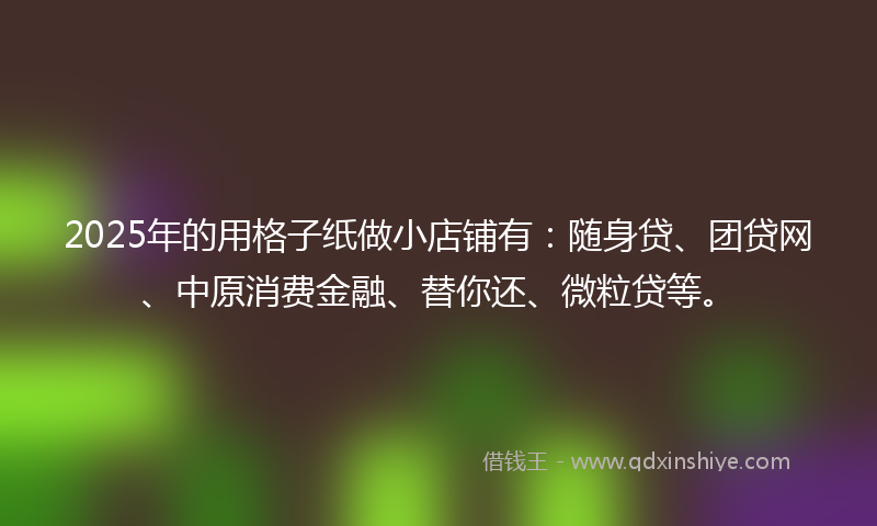 2025年的用格子纸做小店铺有：随身贷、团贷网、中原消费金融、替你还、微粒贷等。