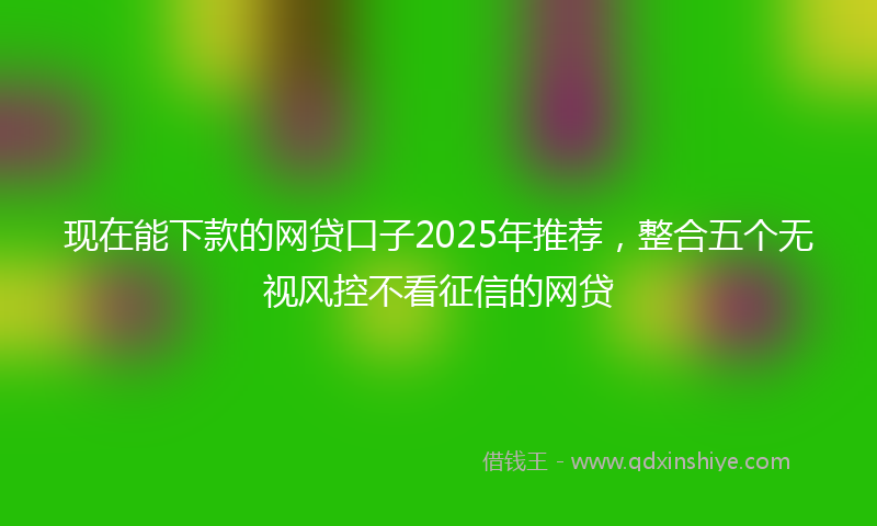 现在能下款的网贷口子2025年推荐，整合五个无视风控不看征信的网贷