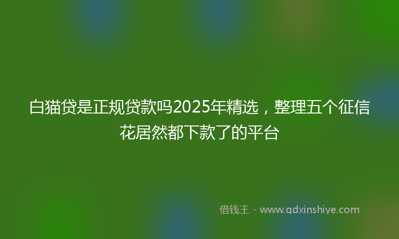 白猫贷是正规贷款吗2025年精选，整理五个征信花居然都下款了的平台
