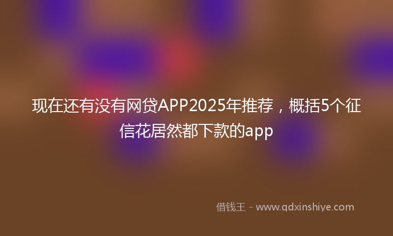 现在还有没有网贷APP2025年推荐，概括5个征信花居然都下款的app