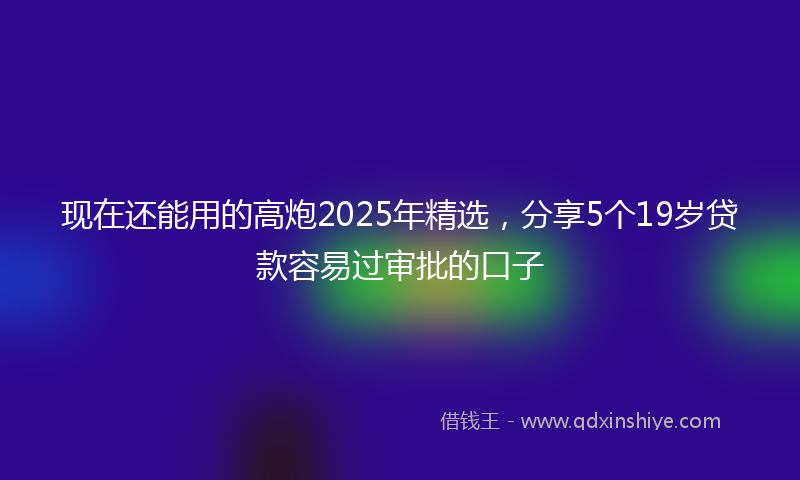 现在还能用的高炮2025年精选，分享5个19岁贷款容易过审批的口子
