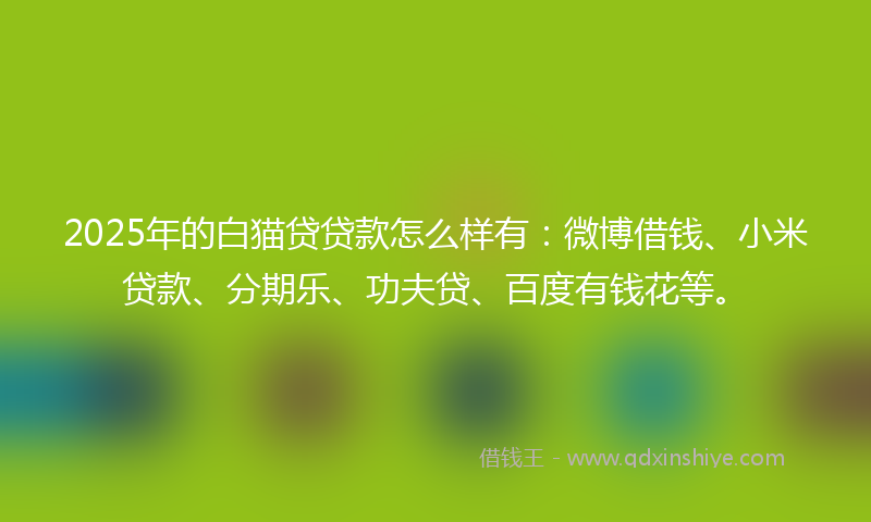 2025年的白猫贷贷款怎么样有：微博借钱、小米贷款、分期乐、功夫贷、百度有钱花等。