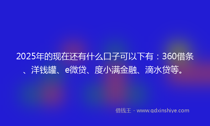 2025年的现在还有什么口子可以下有：360借条、洋钱罐、e微贷、度小满金融、滴水贷等。