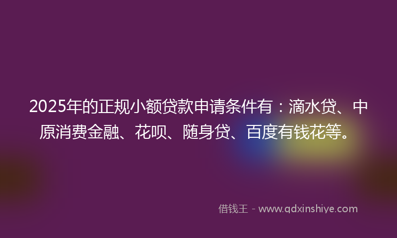 2025年的正规小额贷款申请条件有：滴水贷、中原消费金融、花呗、随身贷、百度有钱花等。
