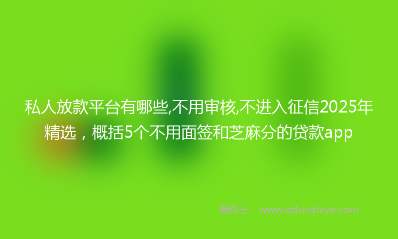 私人放款平台有哪些,不用审核,不进入征信2025年精选，概括5个不用面签和芝麻分的贷款app