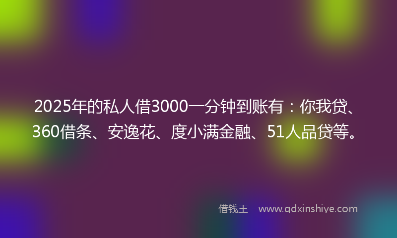 2025年的私人借3000一分钟到账有：你我贷、360借条、安逸花、度小满金融、51人品贷等。