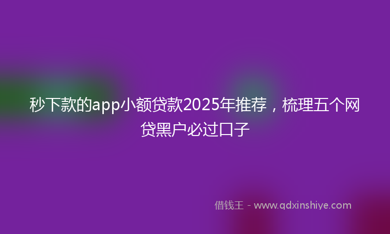 秒下款的app小额贷款2025年推荐，梳理五个网贷黑户必过口子