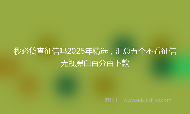 秒必贷查征信吗2025年精选，汇总五个不看征信无视黑白百分百下款