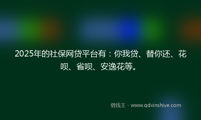 2025年的社保网贷平台有：你我贷、替你还、花呗、省呗、安逸花等。