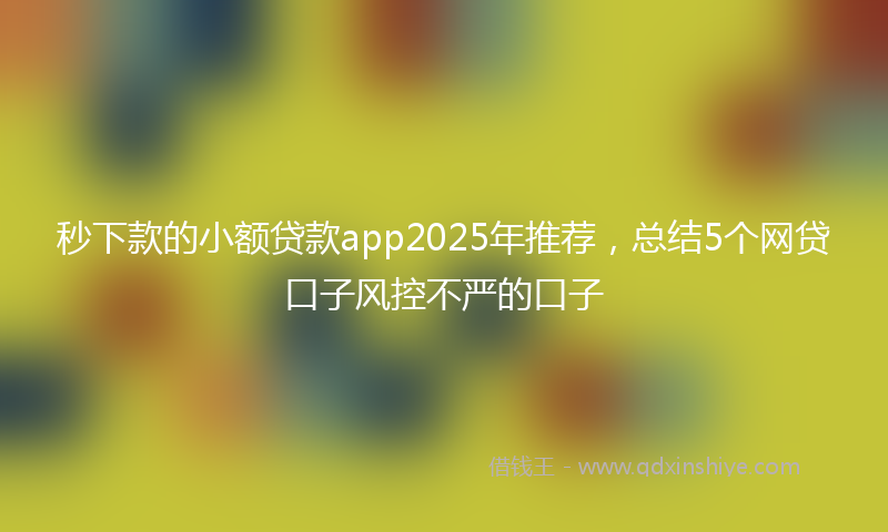 秒下款的小额贷款app2025年推荐，总结5个网贷口子风控不严的口子