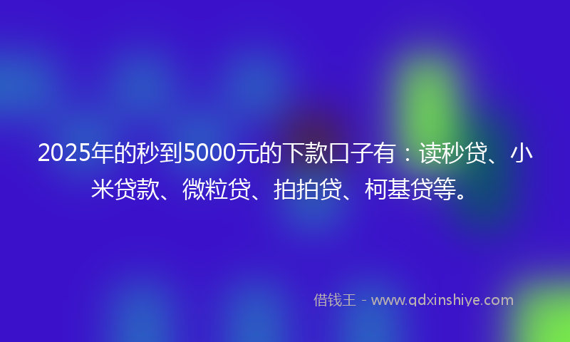 2025年的秒到5000元的下款口子有：读秒贷、小米贷款、微粒贷、拍拍贷、柯基贷等。