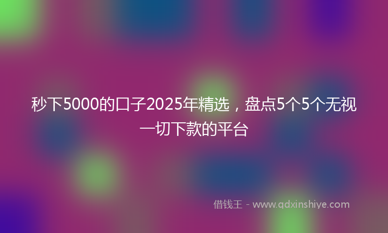 秒下5000的口子2025年精选，盘点5个5个无视一切下款的平台
