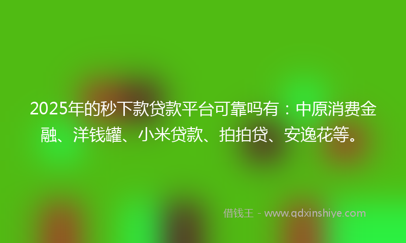 2025年的秒下款贷款平台可靠吗有：中原消费金融、洋钱罐、小米贷款、拍拍贷、安逸花等。