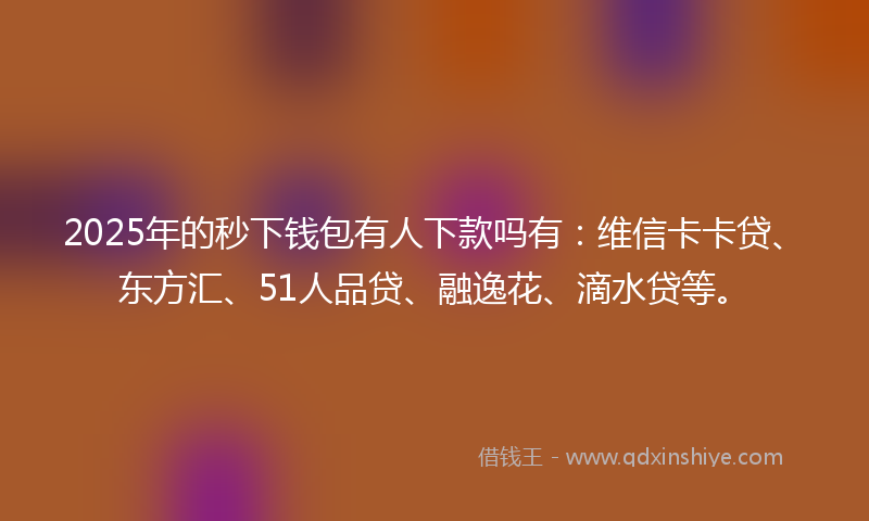 2025年的秒下钱包有人下款吗有：维信卡卡贷、东方汇、51人品贷、融逸花、滴水贷等。