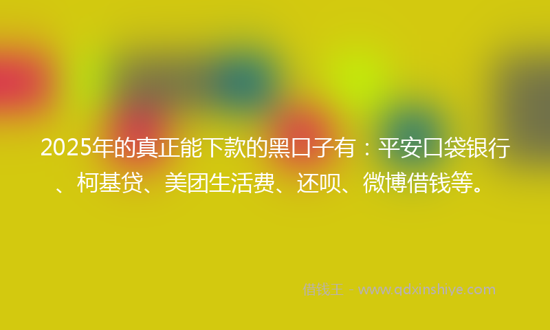 2025年的真正能下款的黑口子有：平安口袋银行、柯基贷、美团生活费、还呗、微博借钱等。