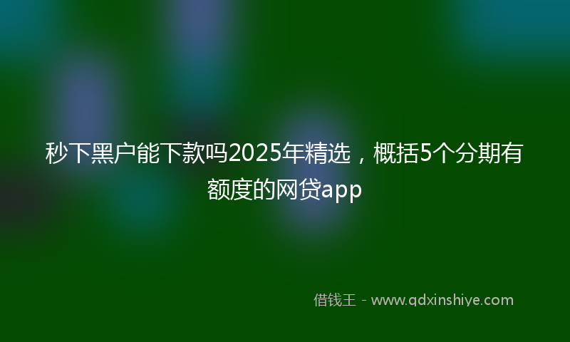 秒下黑户能下款吗2025年精选，概括5个分期有额度的网贷app