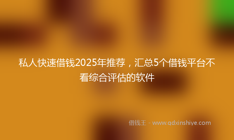 私人快速借钱2025年推荐，汇总5个借钱平台不看综合评估的软件