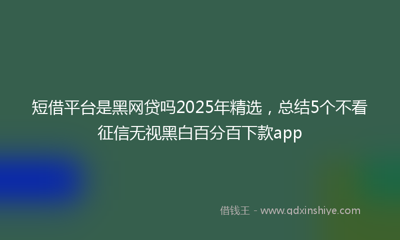 短借平台是黑网贷吗2025年精选，总结5个不看征信无视黑白百分百下款app