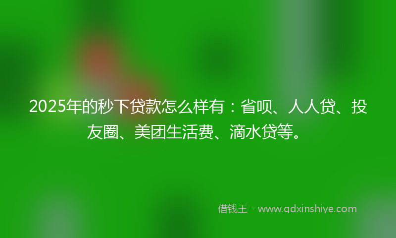 2025年的秒下贷款怎么样有：省呗、人人贷、投友圈、美团生活费、滴水贷等。
