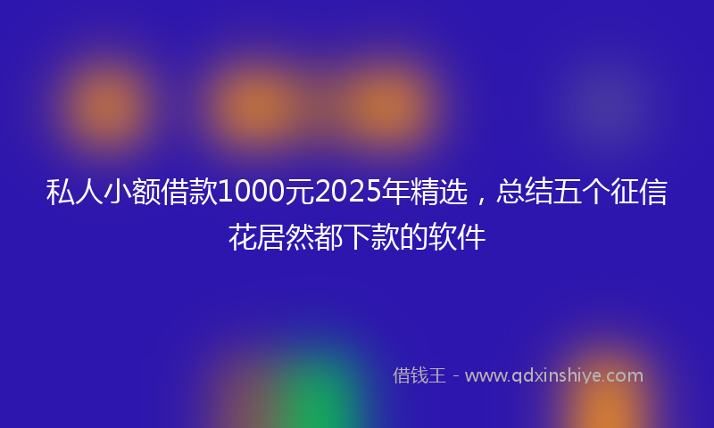 私人小额借款1000元2025年精选，总结五个征信花居然都下款的软件