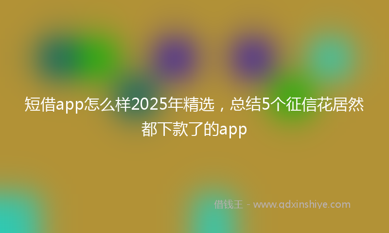 短借app怎么样2025年精选，总结5个征信花居然都下款了的app