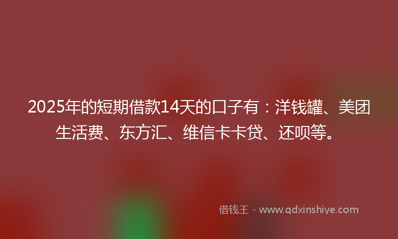 2025年的短期借款14天的口子有：洋钱罐、美团生活费、东方汇、维信卡卡贷、还呗等。
