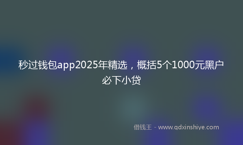 秒过钱包app2025年精选，概括5个1000元黑户必下小贷