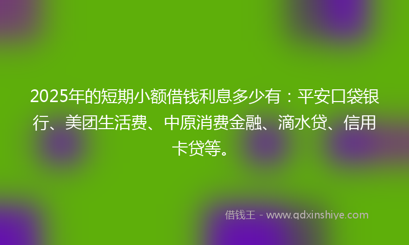 2025年的短期小额借钱利息多少有：平安口袋银行、美团生活费、中原消费金融、滴水贷、信用卡贷等。