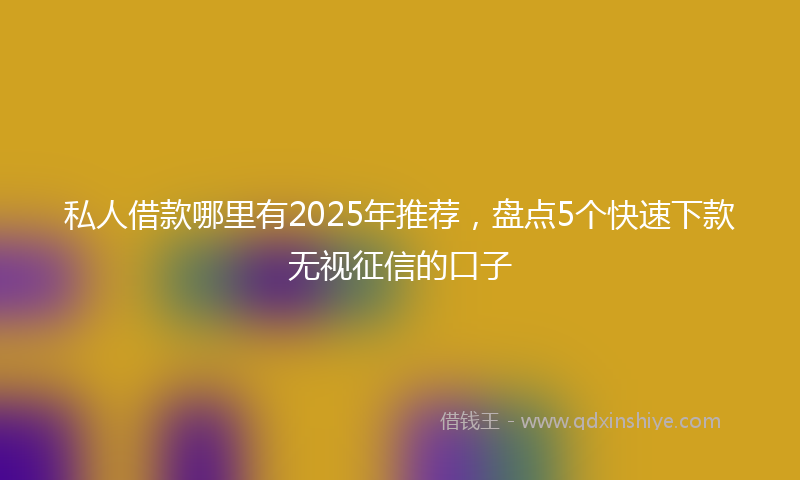 私人借款哪里有2025年推荐，盘点5个快速下款无视征信的口子