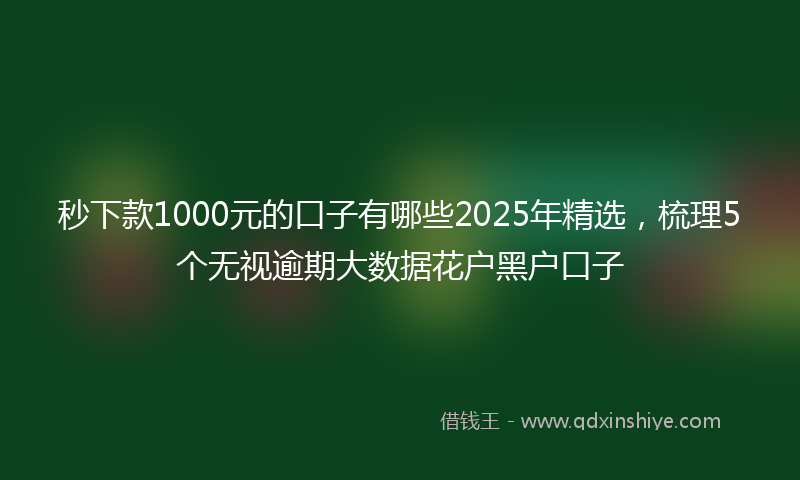 秒下款1000元的口子有哪些2025年精选，梳理5个无视逾期大数据花户黑户口子