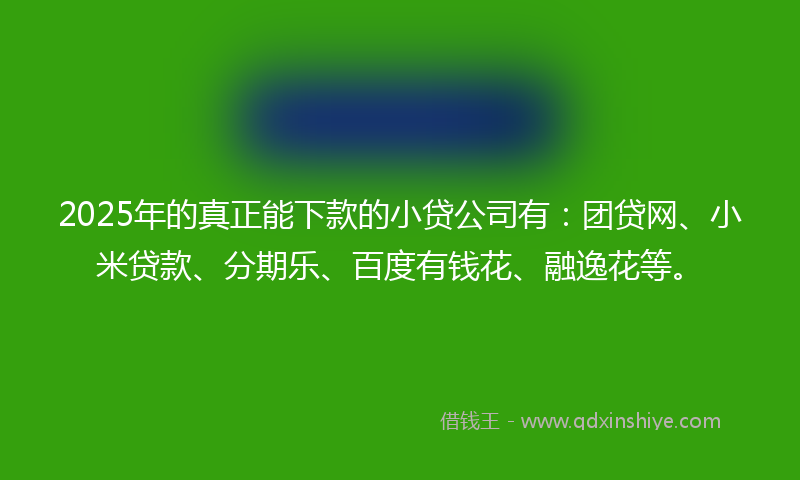 2025年的真正能下款的小贷公司有：团贷网、小米贷款、分期乐、百度有钱花、融逸花等。