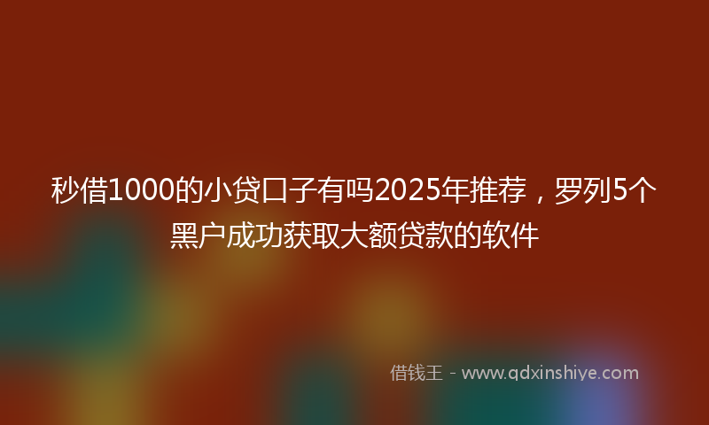 秒借1000的小贷口子有吗2025年推荐，罗列5个黑户成功获取大额贷款的软件