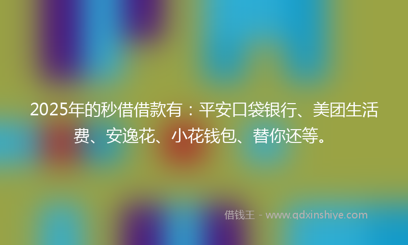 2025年的秒借借款有：平安口袋银行、美团生活费、安逸花、小花钱包、替你还等。