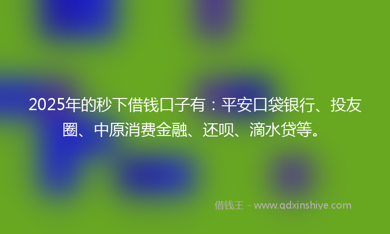 2025年的秒下借钱口子有：平安口袋银行、投友圈、中原消费金融、还呗、滴水贷等。