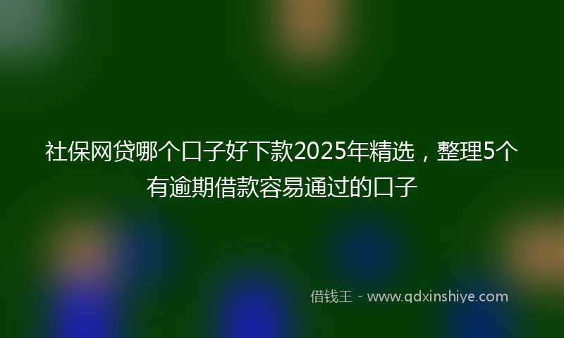 社保网贷哪个口子好下款2025年精选，整理5个有逾期借款容易通过的口子