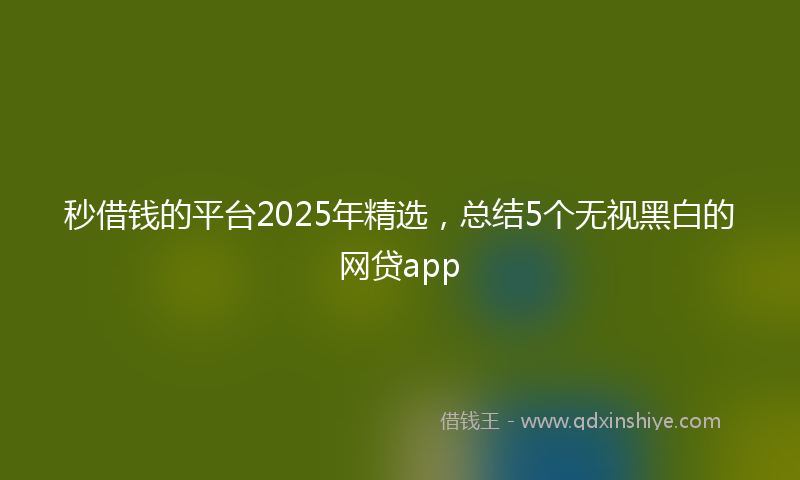 秒借钱的平台2025年精选，总结5个无视黑白的网贷app