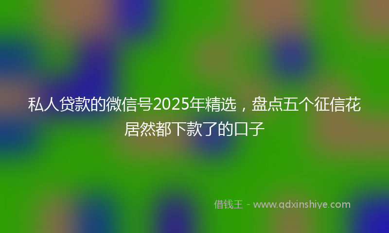 私人贷款的微信号2025年精选，盘点五个征信花居然都下款了的口子