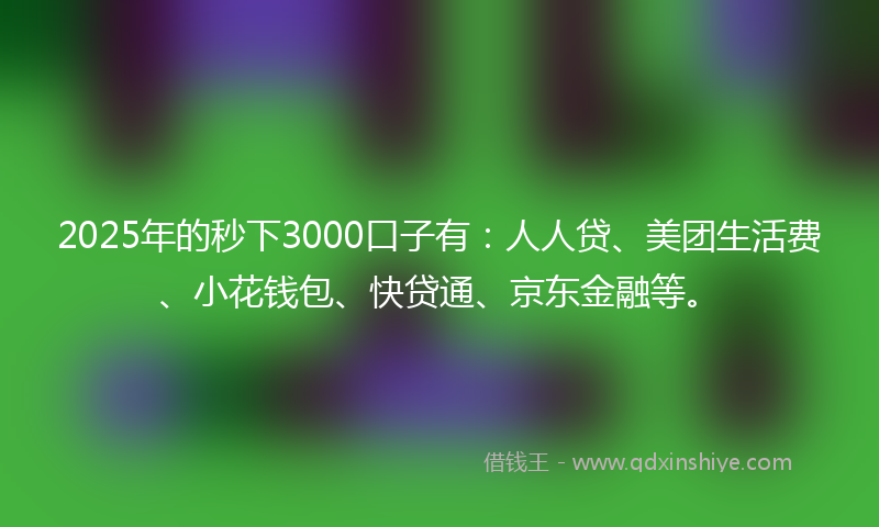2025年的秒下3000口子有：人人贷、美团生活费、小花钱包、快贷通、京东金融等。