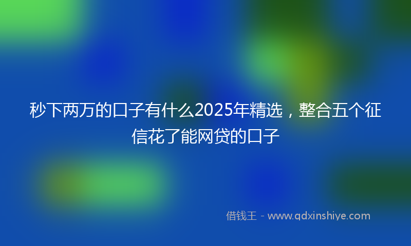 秒下两万的口子有什么2025年精选，整合五个征信花了能网贷的口子