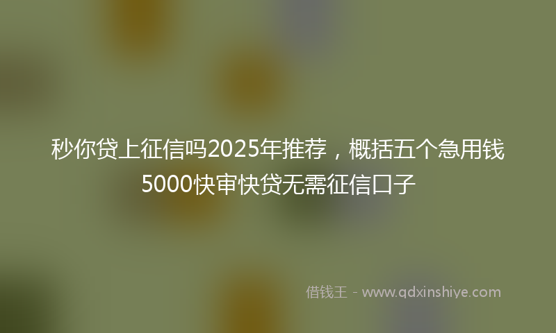 秒你贷上征信吗2025年推荐，概括五个急用钱5000快审快贷无需征信口子