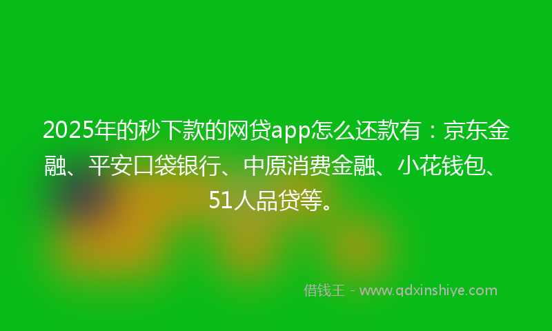 2025年的秒下款的网贷app怎么还款有：京东金融、平安口袋银行、中原消费金融、小花钱包、51人品贷等。