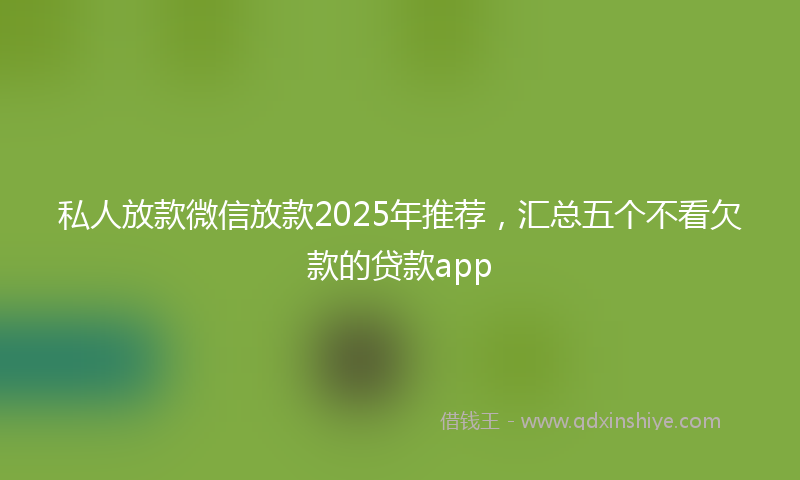私人放款微信放款2025年推荐，汇总五个不看欠款的贷款app