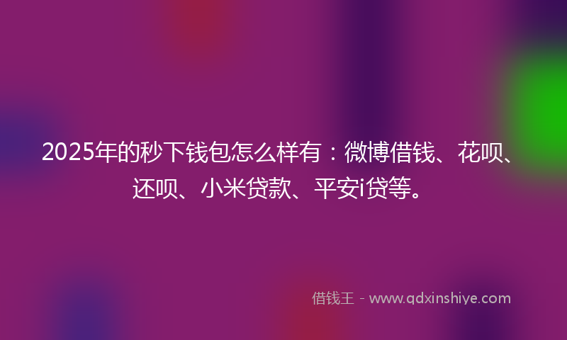 2025年的秒下钱包怎么样有：微博借钱、花呗、还呗、小米贷款、平安i贷等。